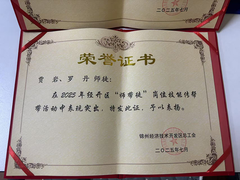 賈巖、羅丹師徒榮獲經(jīng)開區(qū)“師帶徒”崗位技能傳幫帶活動表彰